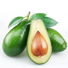 Avocado - Brazilian Fruits Exports